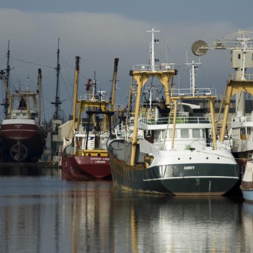 Boats in the sun