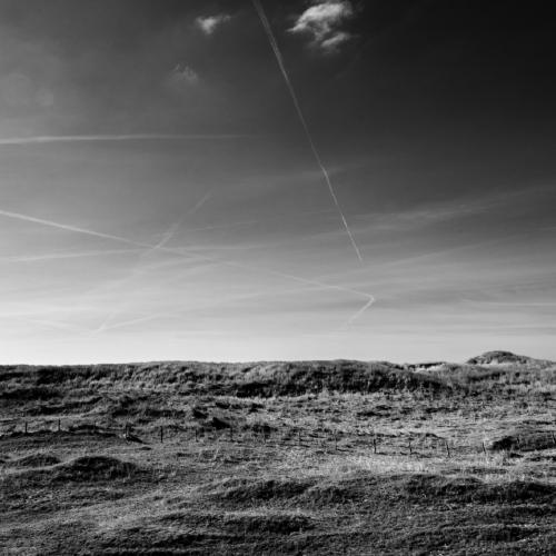 De duinen van Petten