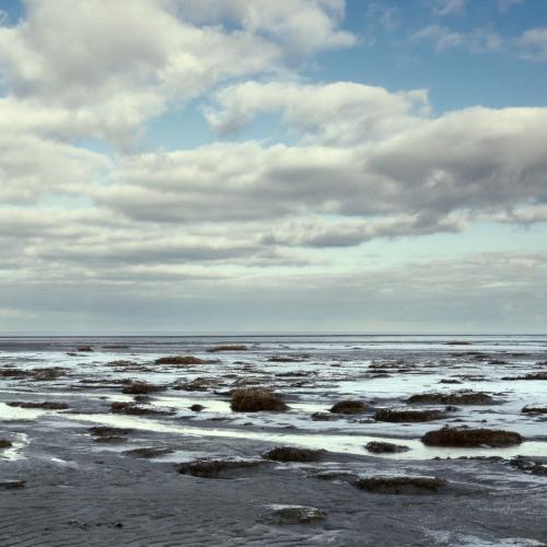 Frozen beach