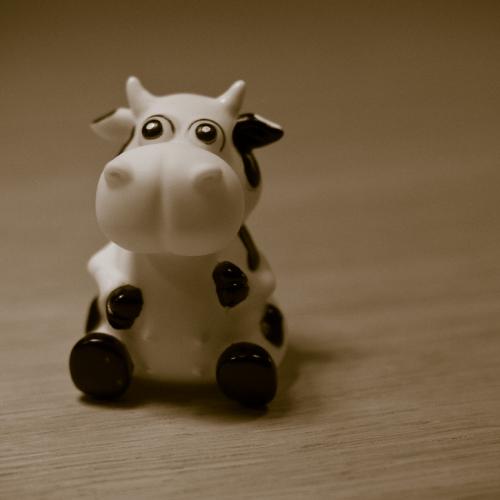 Mooing about